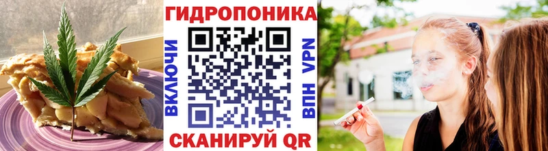 Купить закладки  Суджа  Печенье с ТГК марихуана 
