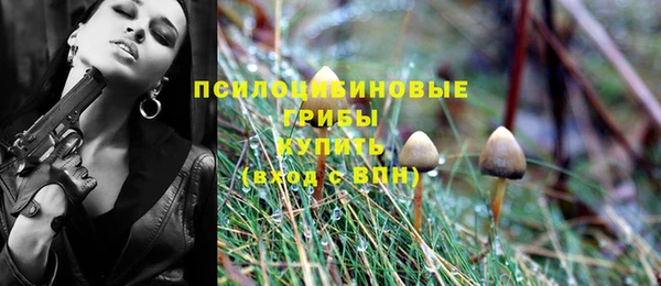 мескалин Балахна