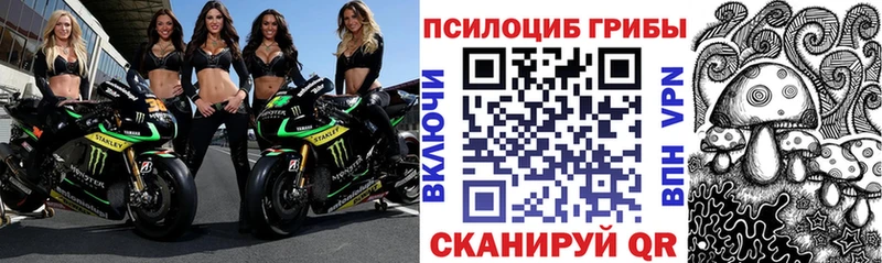 Галлюциногенные грибы мицелий Суджа