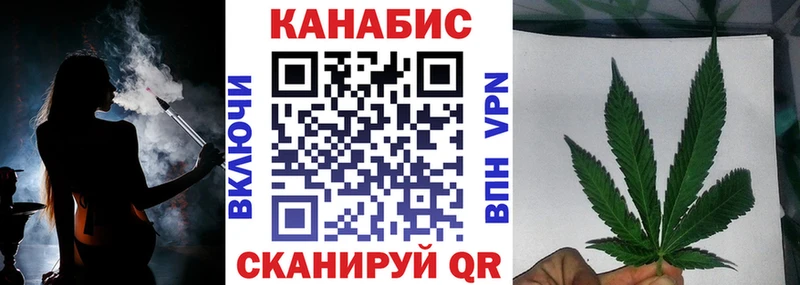 Купить где  Суджа  Канабис семена 